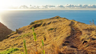 Madeira Panoramaweg