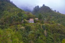 Mystischer Wald Madeira