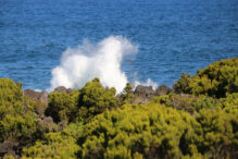 Nordküste Insel Pico