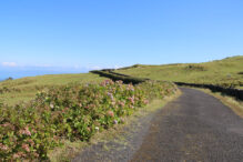 Panoramastrasse auf Pico