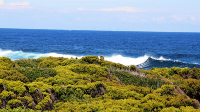 Küstenwanderung Insel Pico