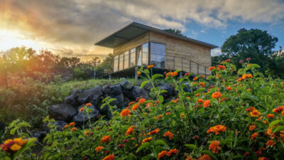 Intact Farms, Urzelina