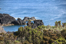 Küste Caloura São Miguel