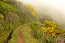 Levada Wanderung Madeira