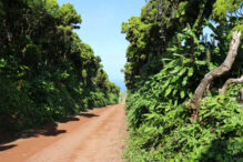 Wandern auf  São Jorge