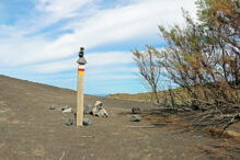 Vulcão dos Capelinhos Trail Faial