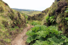 Wanderweg São Miguel