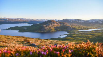 Malla Strict Nature Reserve