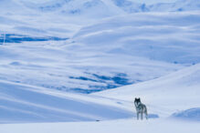 Aussergewöhnliche Begegnungen