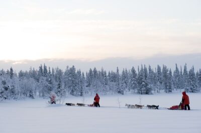 Hundeschlittengespann Finnland 