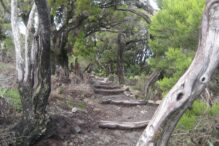 Insel La Gomera ein Wanderparadies