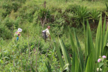 Wandern auf Santiago Kapverden