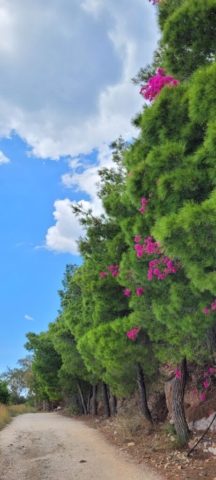 Nafplio Küstenwanderung