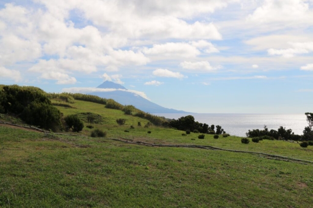 Ponta do Morro - Castelo Branco, Insel Faial Ponta do Morro - Castelo Branco, Insel Faial